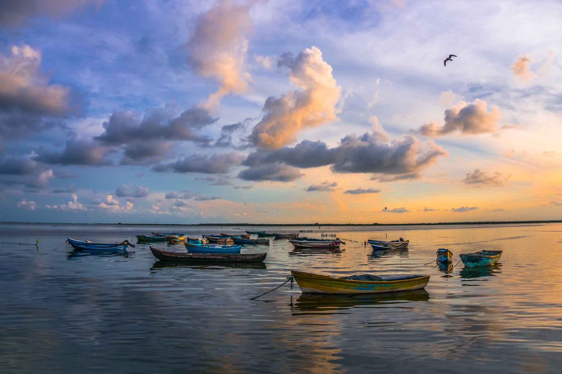 Jaffna